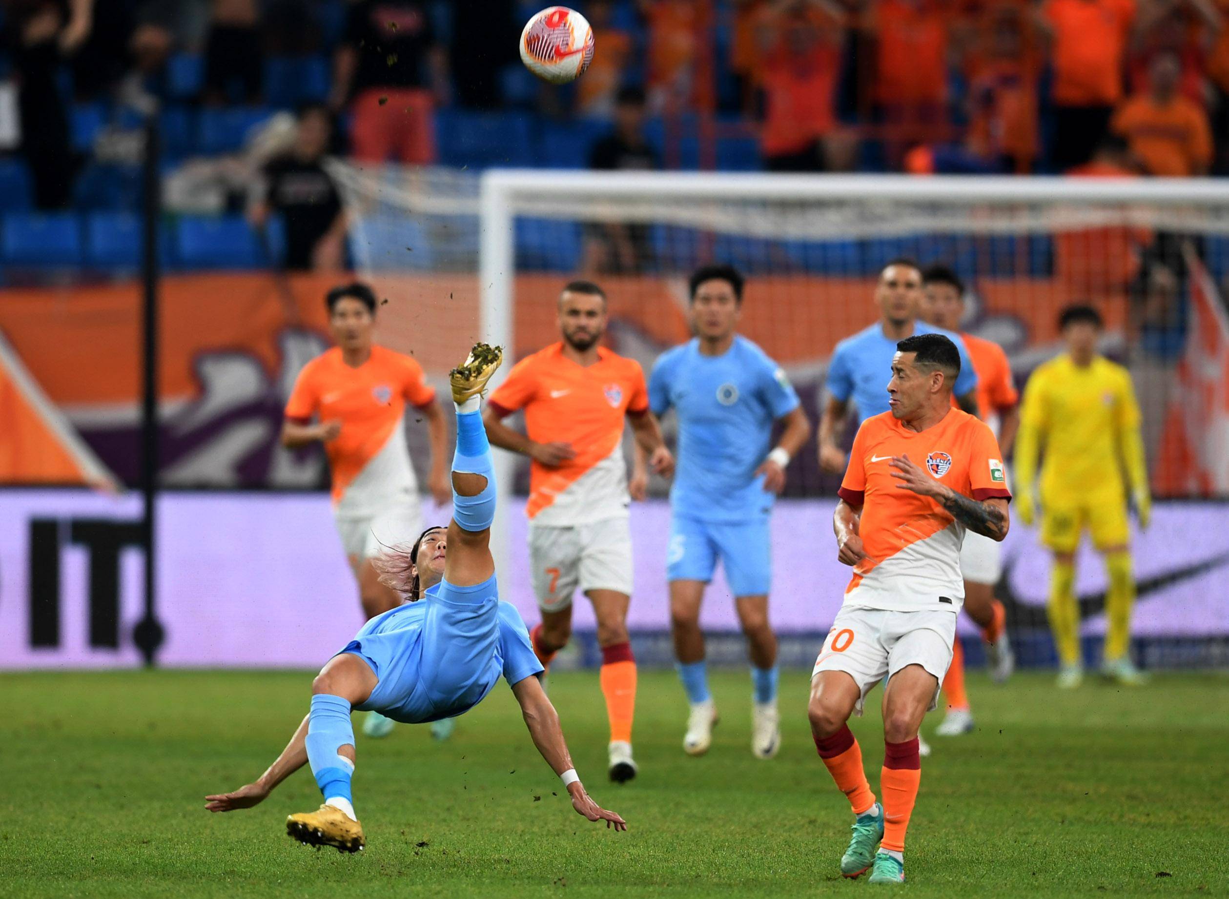 仅保护生态 仅保护生态