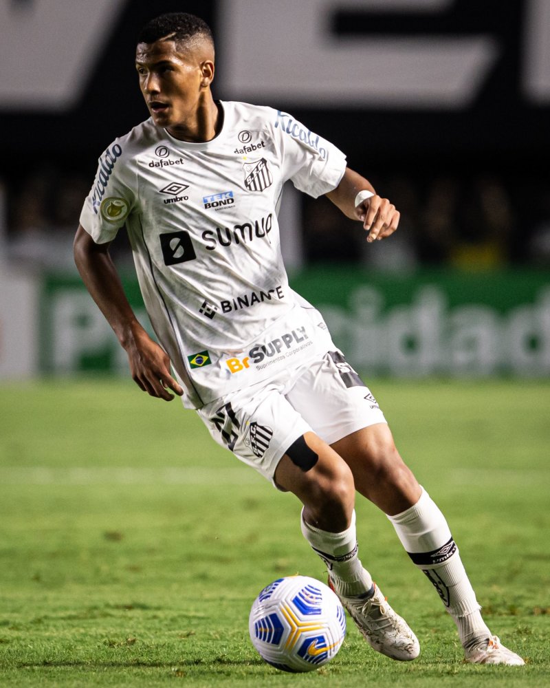 明了自己的 明了自己的